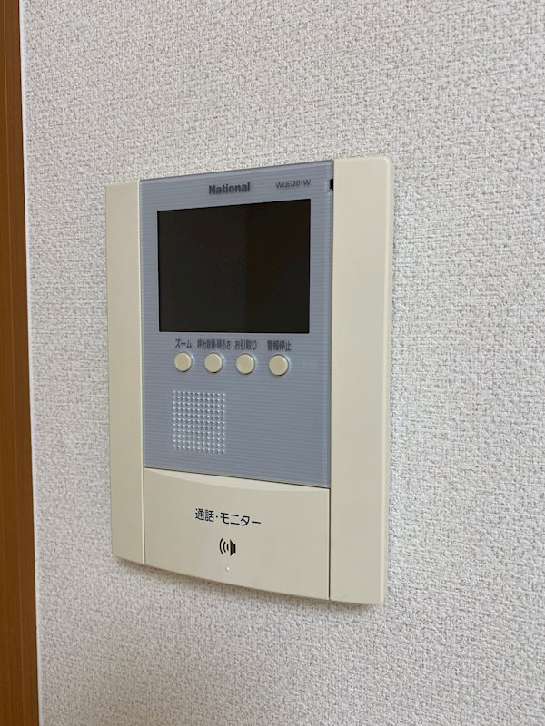 プルメリアのその他写真