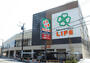 スーパー　ライフ川崎塚越店（スーパー）まで252m