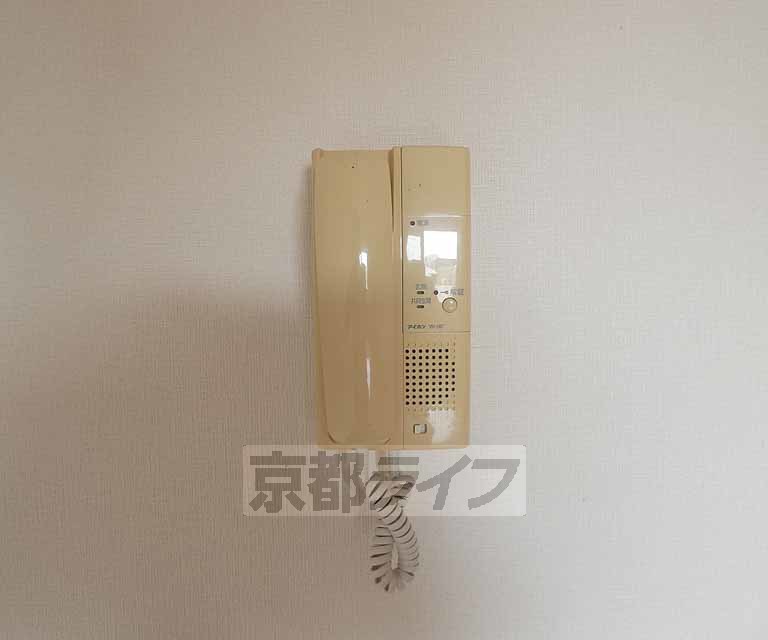 timur九条のその他写真