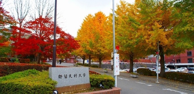 大学・短大　都留文科大学（大学・短大）まで700m