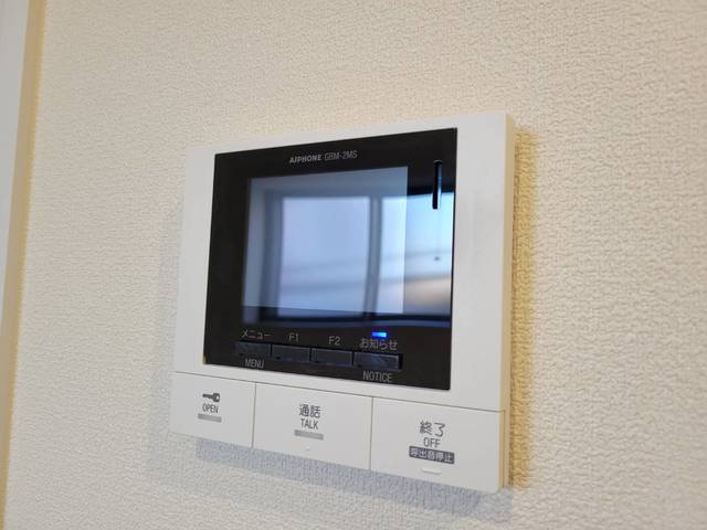 Lien Ysのその他写真