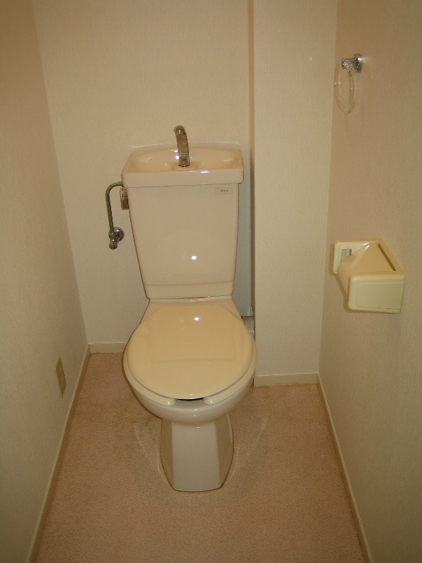 ディオフェルティ泉大津のトイレ写真