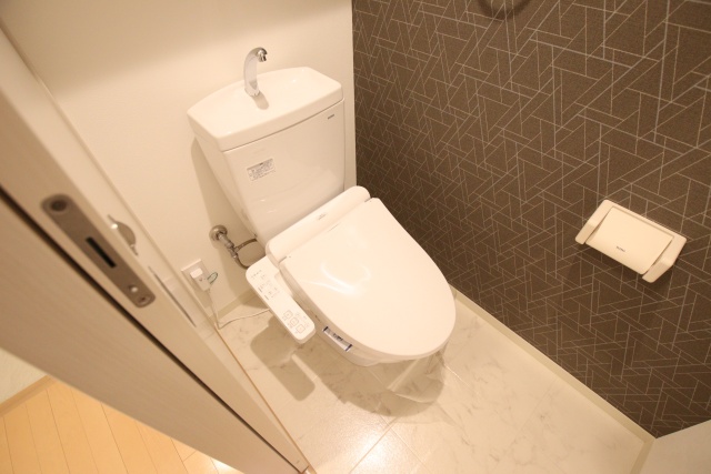 RESIDENCE DRACAENAのトイレ写真