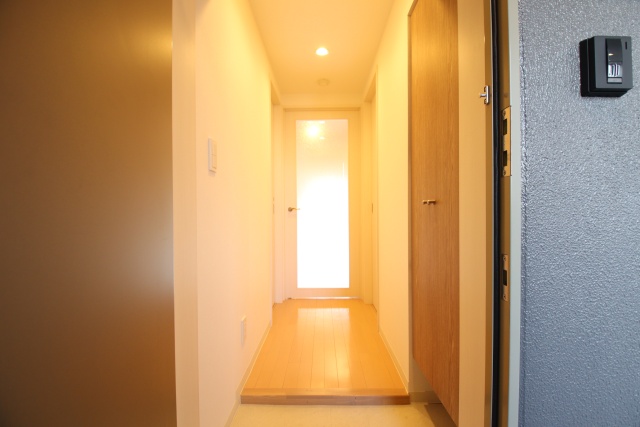 RESIDENCE DRACAENAの玄関写真