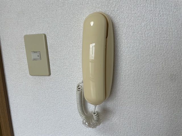 ハイライフのその他写真