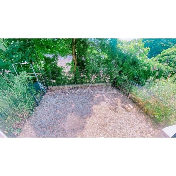 庭