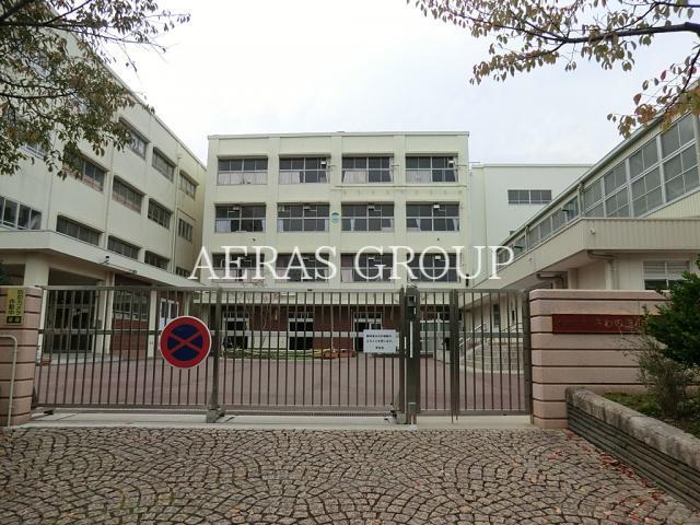 小学校　横浜市立さわの里小学校（小学校）まで974m