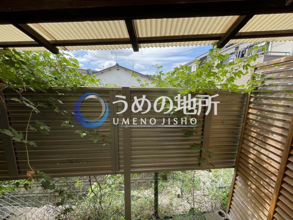 眺望　眺望