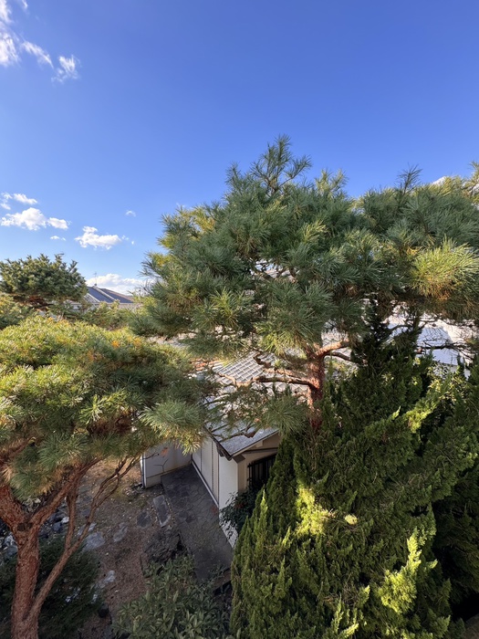 眺望