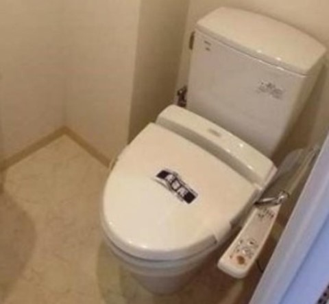 ＪＲ総武線 浅草橋駅 徒歩8分 11階建 築19年のトイレ写真