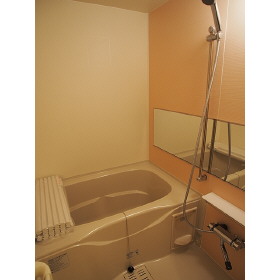 バス・シャワールーム　リフォーム済み