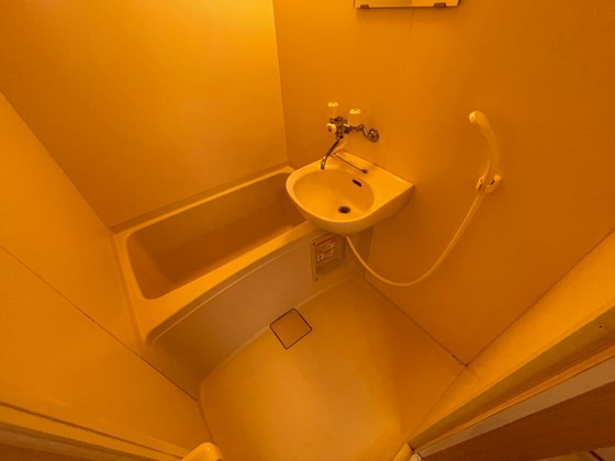 バス・シャワールーム　※別部屋の写真です