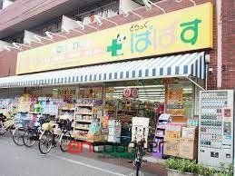 ドラックストア　どらっぐぱぱす大山幸町店（ドラッグストア）まで290m