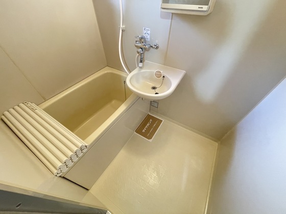 バス・シャワールーム　※別部屋の写真です