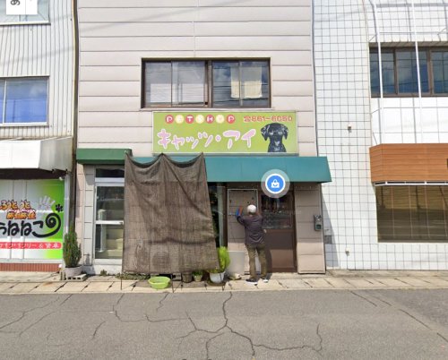 その他　キャッツ・アイ（その他）まで1463m