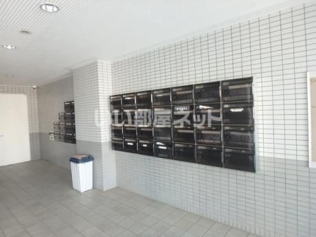 Celestial NIIHAMAのその他写真