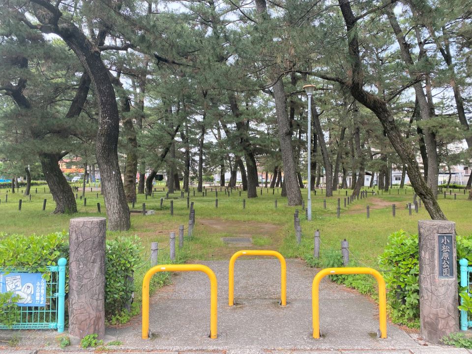 【グリーンバードビルの公園】