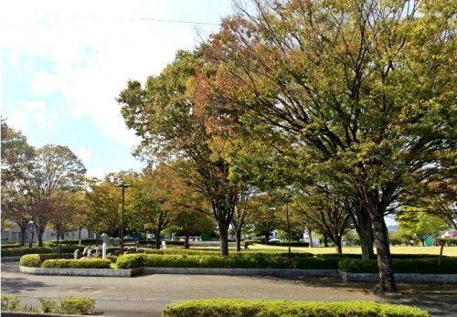 【焼津市塩津のアパートの公園】