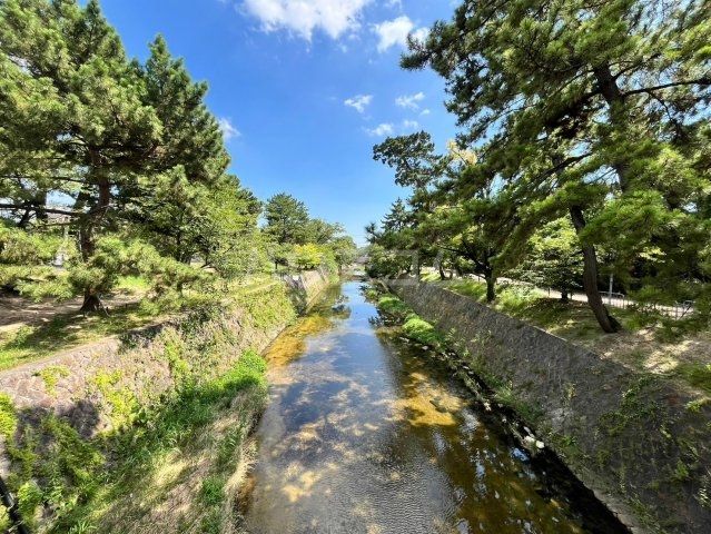 【大原町戸建ての公園】