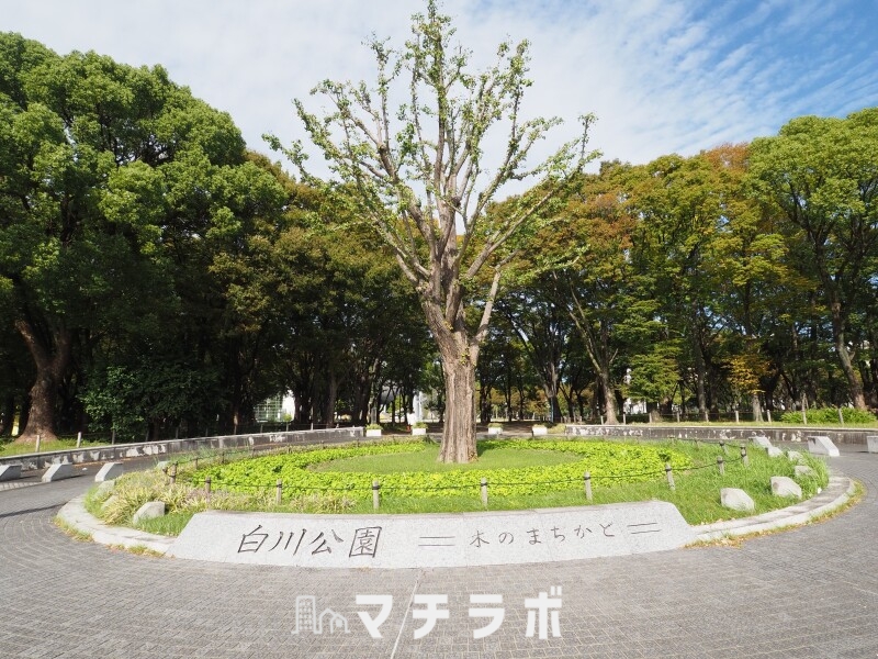 【名古屋市中区栄のマンションの公園】