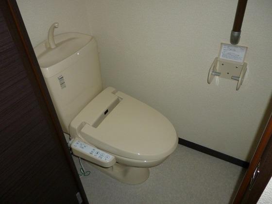 トイレ　※他号室の写真です