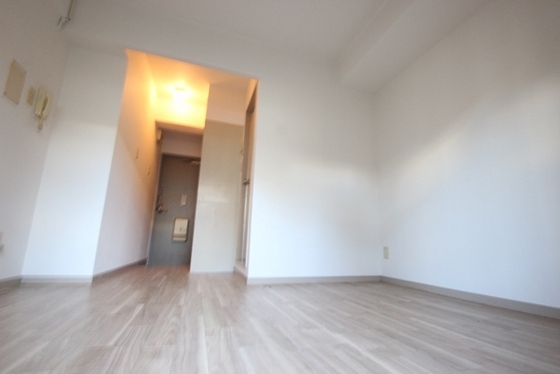 居室・リビング　※写真は別号室です