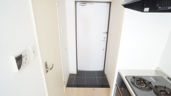 玄関　同仕様タイプ