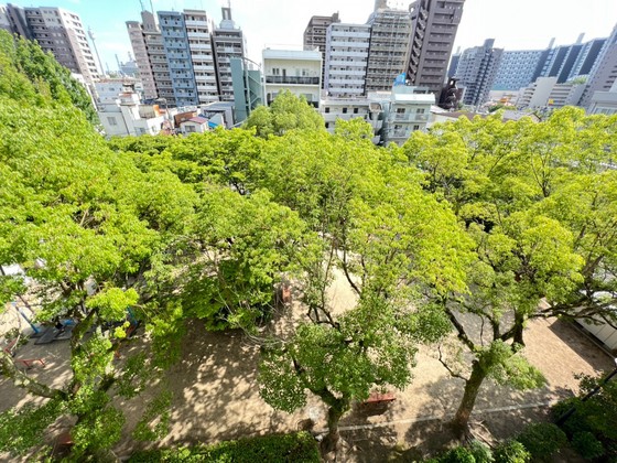 眺望　※別の部屋の写真です