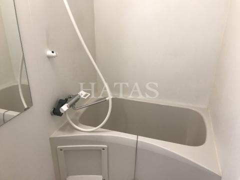 バス・シャワールーム　同物件別部屋です。