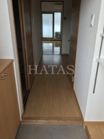 玄関　同物件別部屋です。