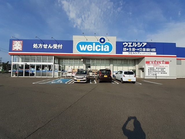 ドラックストア　ウェルシア　新潟さつき野店（ドラッグストア）まで500m