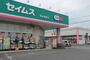 ドラックストア　ドラッグセイムス東金田間店（ドラッグストア）まで552m