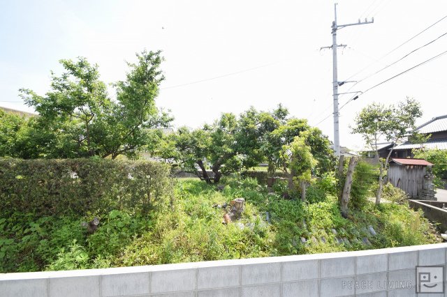 眺望　※同間取り別室の写真です。