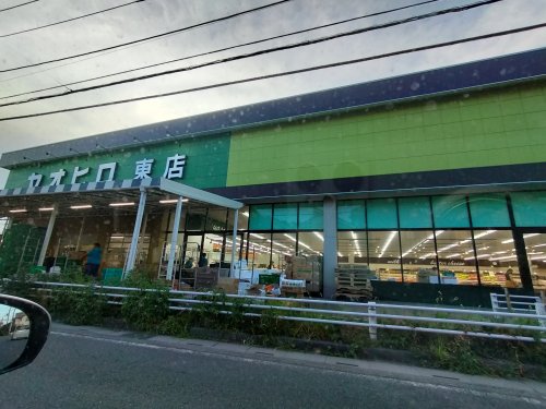 スーパー　ヤオヒロ東店（スーパー）まで1201m