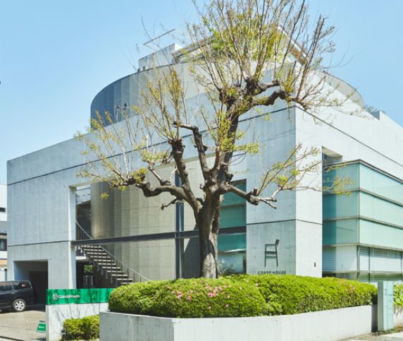 ホームセンター　カンディハウス東京ショップ（ホームセンター）まで250m