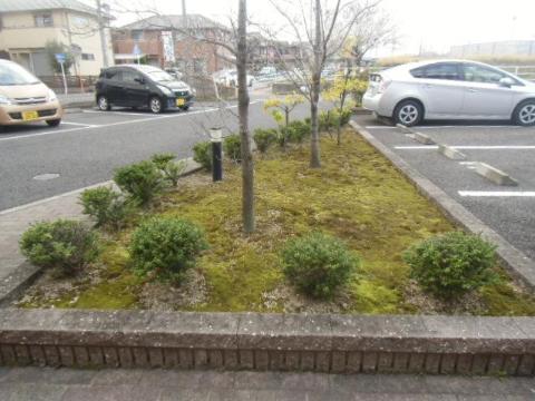 庭　庭（イメージ）