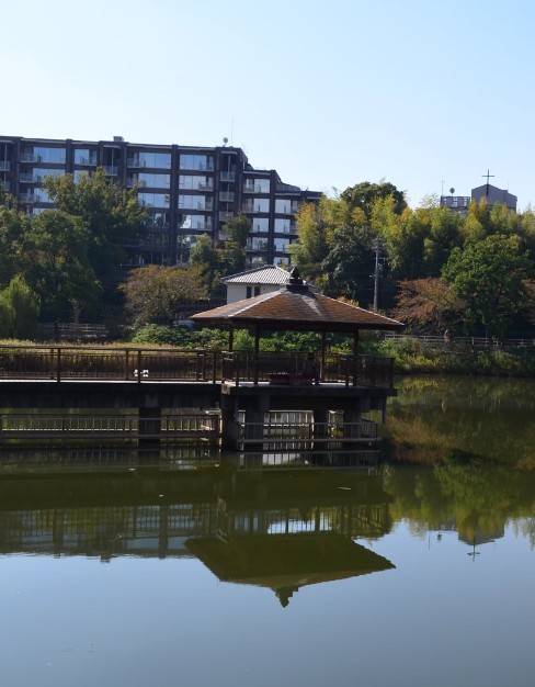 公園　隼人池公園（公園）まで808m