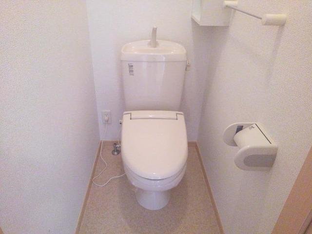 ブルーコルモのトイレ写真