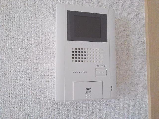 ブルーコルモのその他写真