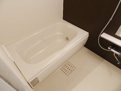 ビッグファミリー葛原IIの風呂写真