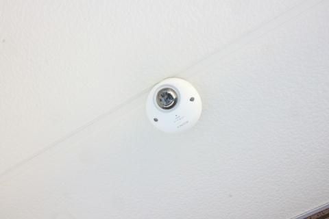 クレイノバンブー グローブのその他写真