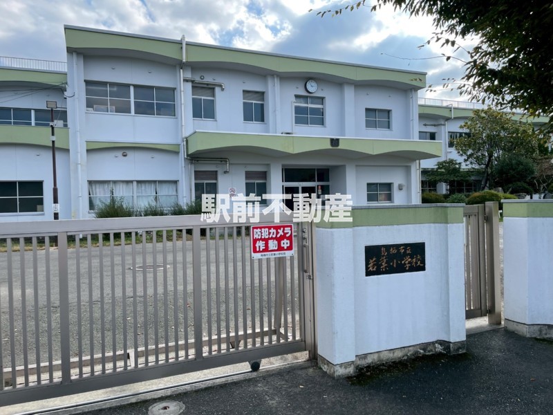 小学校　若葉小学校（小学校）まで800m