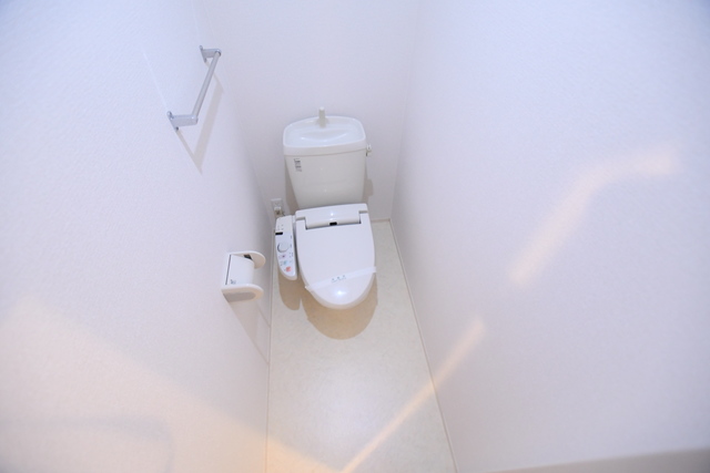 シャンゼトワール藤が尾 C棟のトイレ写真