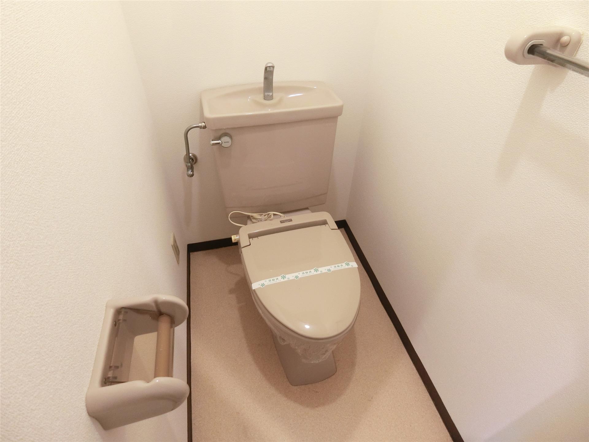 サン・フローラ中川のトイレ写真