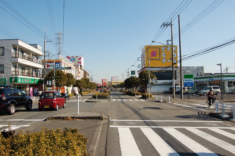 【サウザントハウスIIの庭】