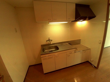 キッチン　同タイプの写真を引用してます。現状優先