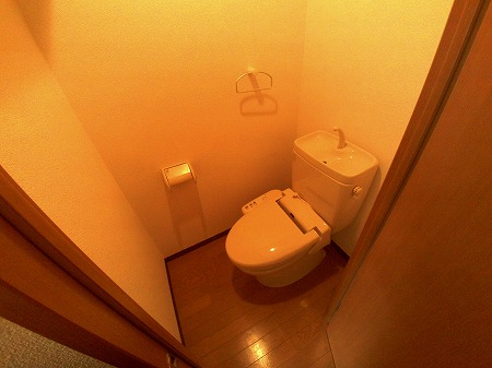 トイレ　同タイプの写真を引用してます。現状優先