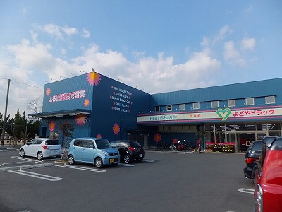 ドラックストア　よどやドラッグ高知高須店（ドラッグストア）まで951m
