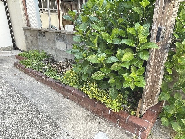 その他共有部分　植栽