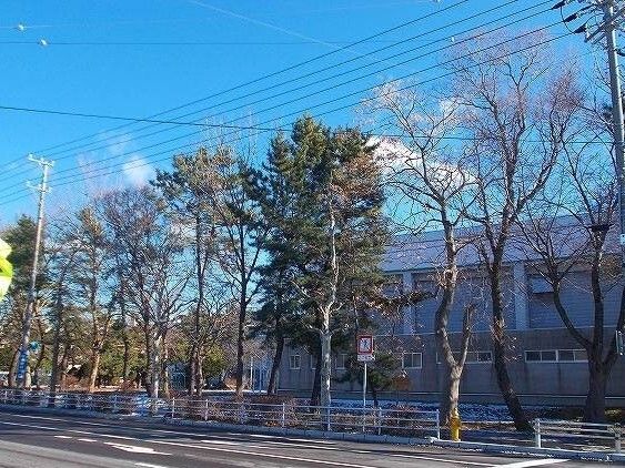 小学校　函館市立駒場小学校（小学校）まで350m
